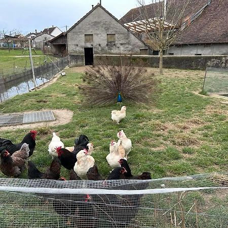 Maison Au Sein D'Une Ferme Villa Rahling ภายนอก รูปภาพ
