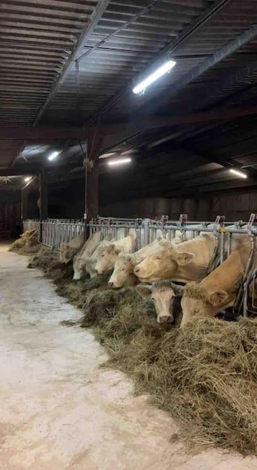 Maison Au Sein D'Une Ferme Villa Rahling ภายนอก รูปภาพ